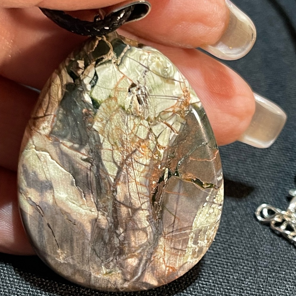 Petrified Wood Stone Pendant on Leather Cord